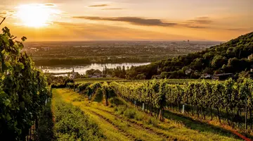 Wiedeń i Budapeszt - perły Dunaju dla wygodnych