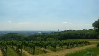 WIEDEŃ I DOLINA WACHAU - 4 dni