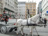 WIEDEŃ MIASTO W RYTMIE WALCA - 4 dni