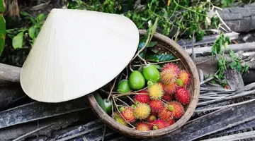 Wietnam z wypoczynkiem na wyspie Phu Quoc - 16 dni