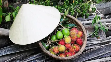 Wietnam z wypoczynkiem na wyspie Phu Quoc - 16 dni