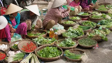 Wietnam z wypoczynkiem na wyspie Phu Quoc - 16 dni