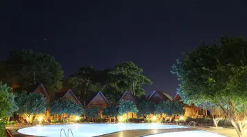 Wood Line Hotel