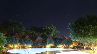 Wood Line Hotel