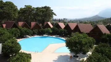 Wood Line Hotel