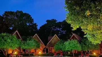 Wood Line Hotel