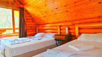 Wood Line Hotel