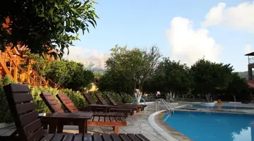 Wood Line Hotel