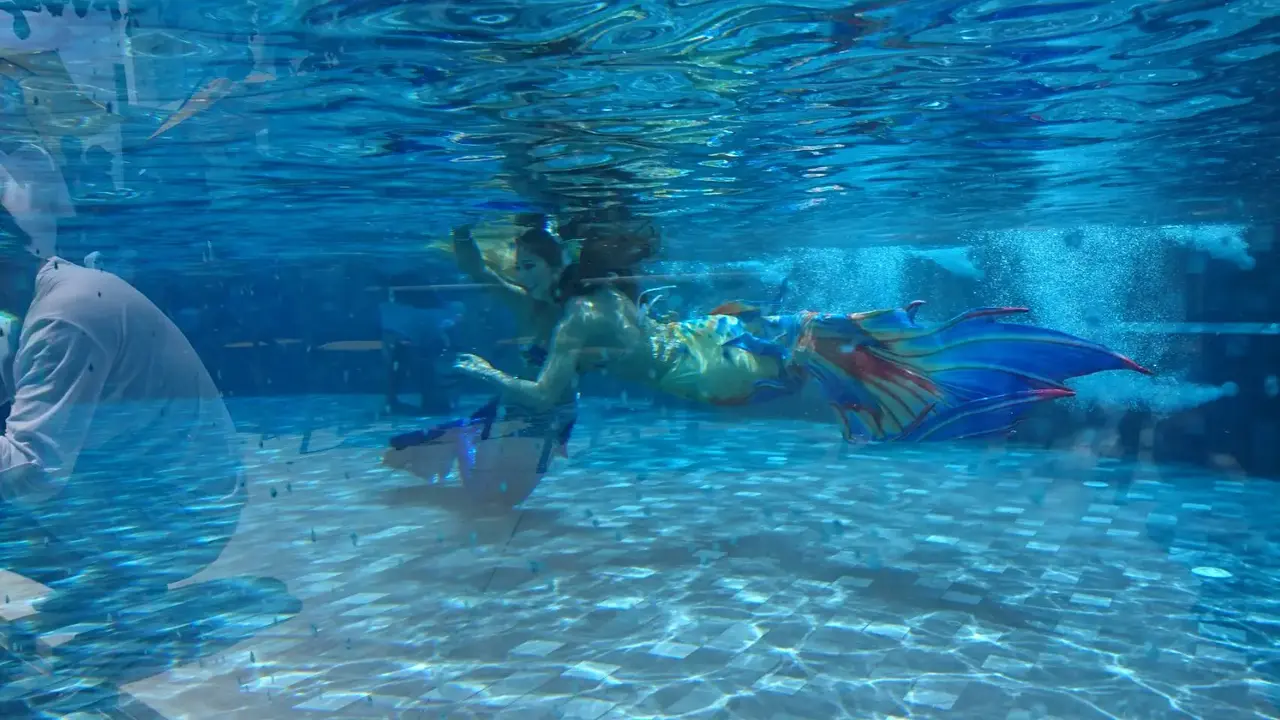 WORITA COVE
