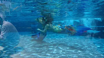 WORITA COVE