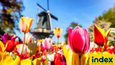 Wycieczka do Amsterdamu + Festiwal Tulipanów Express