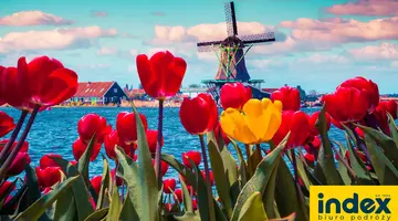 Wycieczka do Amsterdamu + Parada Kwiatów z noclegiem BB