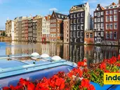 Wycieczka do Brukseli z Kwiatowym Dywanem + Amsterdam BB