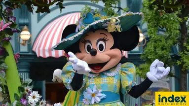 Wycieczka do Paryża i Eurodisneyland BB