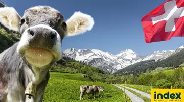 Wycieczka do Szwajcarii BB