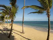 WYNDHAM ALLTRA PUNTA CANA ALL-INCLUSIVE RESORT