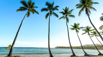 Wyndham Alltra Samana