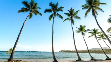 Wyndham Alltra Samana