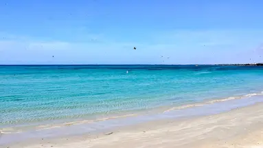 Wyndham Isla Margarita Concorde