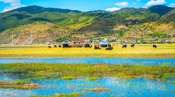 Wyprawa do kraju smoka
