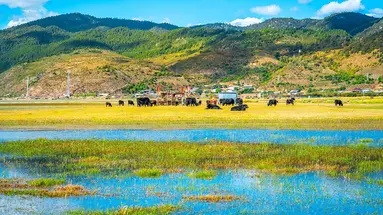 Wyprawa do kraju smoka
