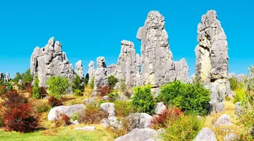 Wyprawa do kraju smoka