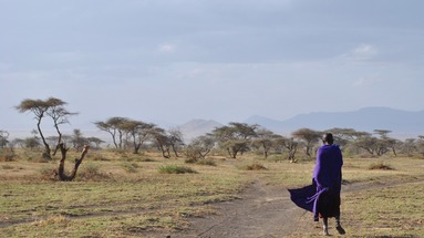 Wyprawa Zanzibar & Serengeti - zwiedzanie Tanzanii