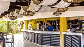 Yadis Hammamet
