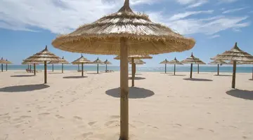 YADIS HAMMAMET