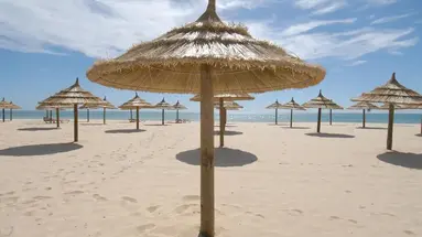 YADIS HAMMAMET