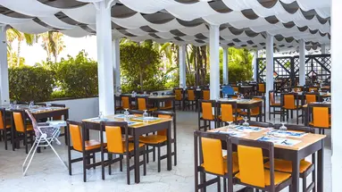 Yadis Hammamet