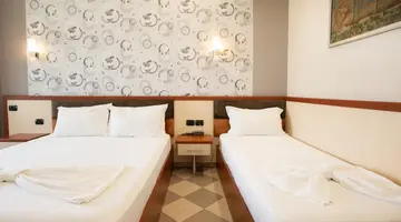 Ylli I Detit Hotel