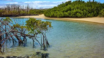 Z Andów na Galapagos