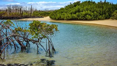 Z Andów na Galapagos