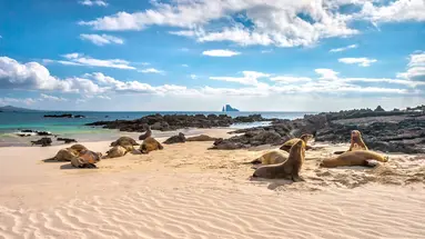 Z Andów na Galapagos