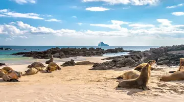 Z Andów na Galapagos