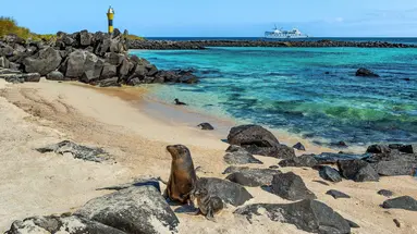 Z Andów na Galapagos