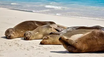 Z Andów na Galapagos
