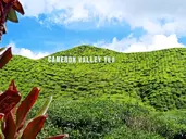 Z Kuala Lumpur Na Langkawi