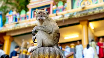 Z Kuala Lumpur Przez Langkawi Do Singapuru