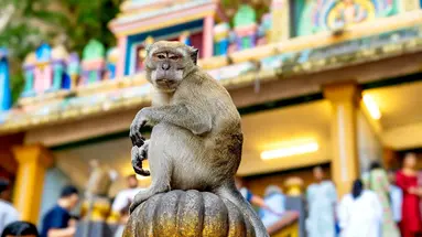 Z Kuala Lumpur Przez Langkawi Do Singapuru