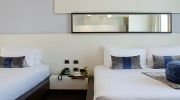 Z Through By The Zign