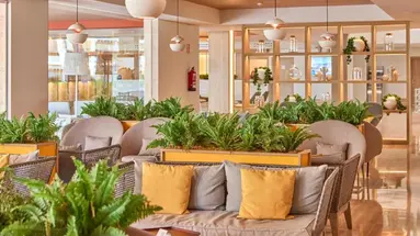 Zafiro Bahia