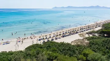 Zafiro Bahia