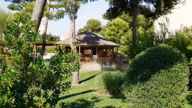 Zafiro Mallorca