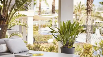 Zafiro Palace Alcudia