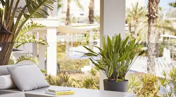 Zafiro Palace Alcudia