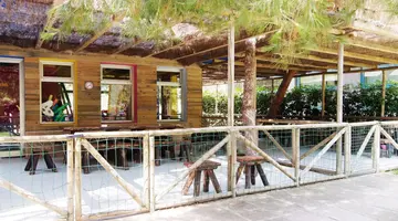 Zafiro Tropic