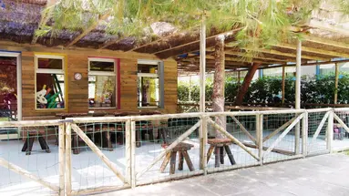 Zafiro Tropic