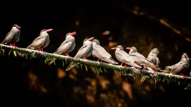 Zagadki cywilizacji